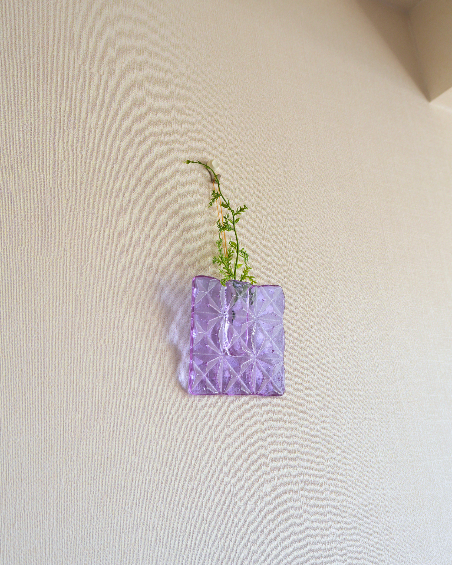 Jewelry amethyst, スタンド・ドライフラワー付
