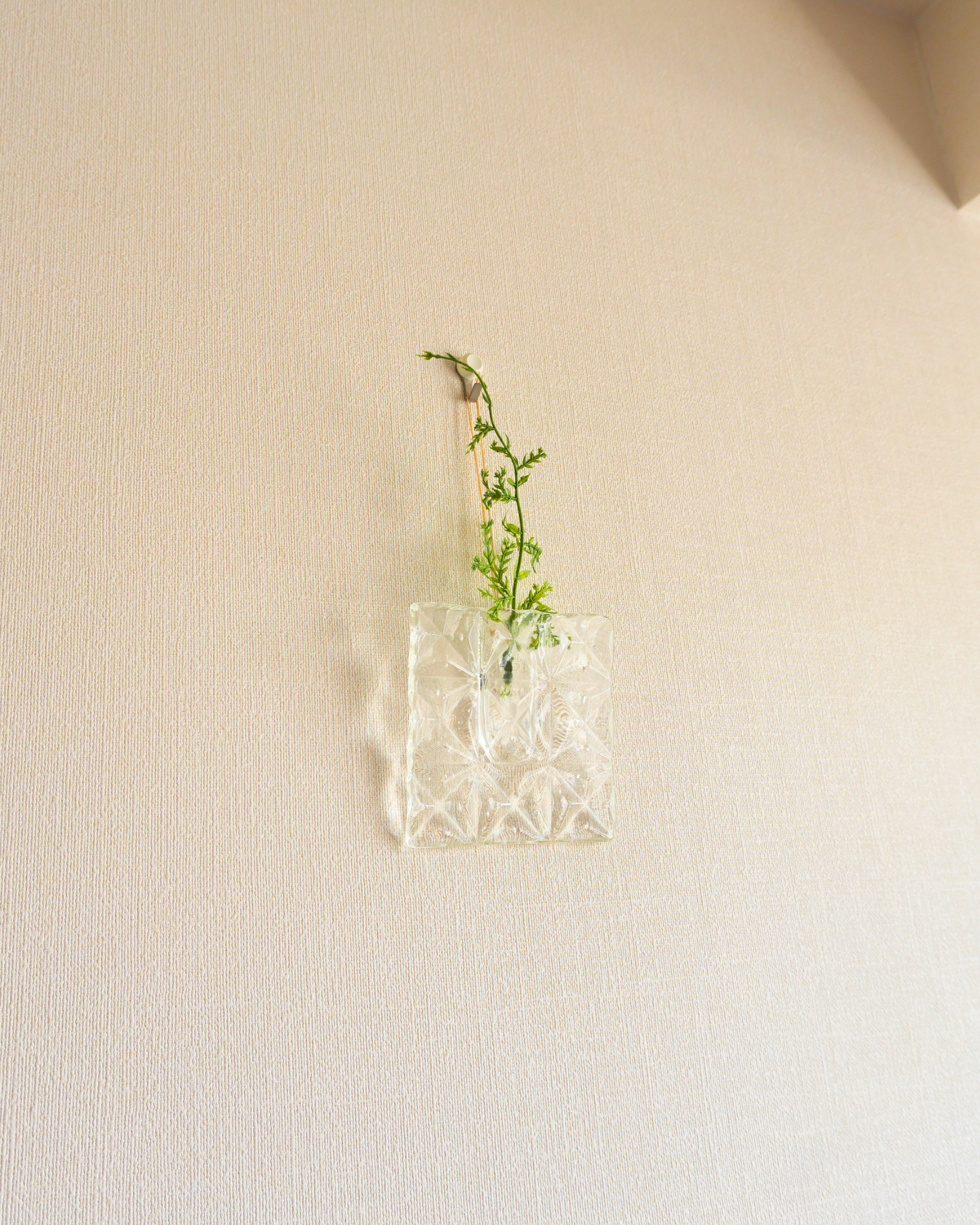 Jewelry quartz, スタンド・ドライフラワー付